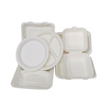 biodegradable eco take out lunch box