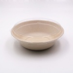 biodegradable sugarcane bagasse bowl with lid