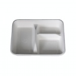 biodegradable sugarcane bagasse food tray compostable