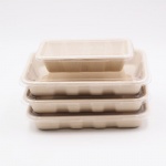 biodegradable bagasse food containers with lid