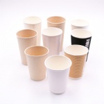 biodegradable bagasse paper pla linned cup