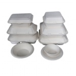 microwave biodegradable takeaway sugarcane food boxes